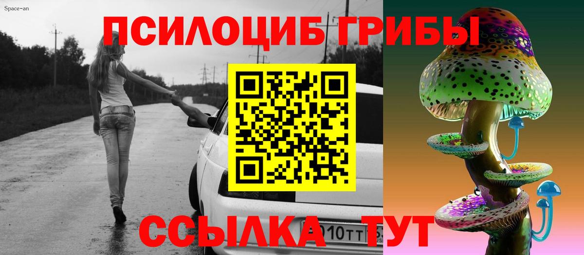 Выкса  Псилоцибиновые грибы MAGIC MUSHROOMS  Вход с VPN 