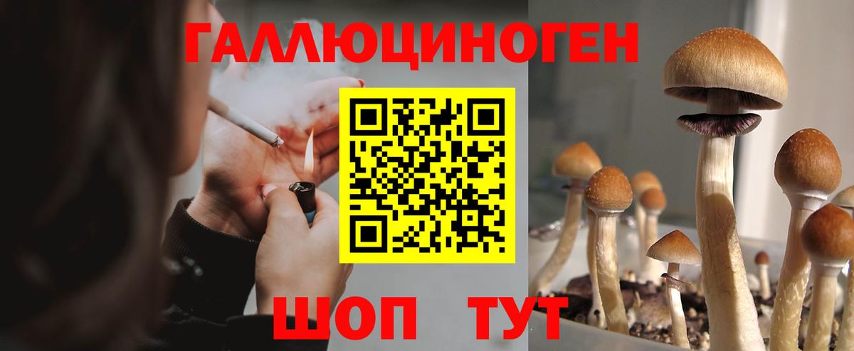 Псилоцибиновые грибы GOLDEN TEACHER Выкса